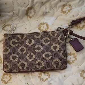 Elegant Patterned Clutch